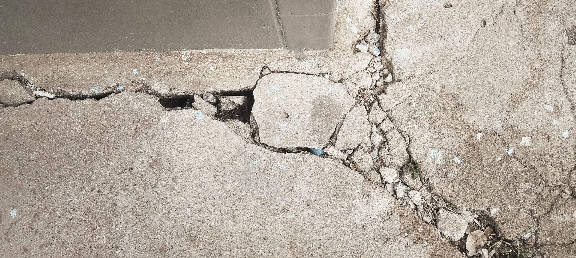 Building Inspections